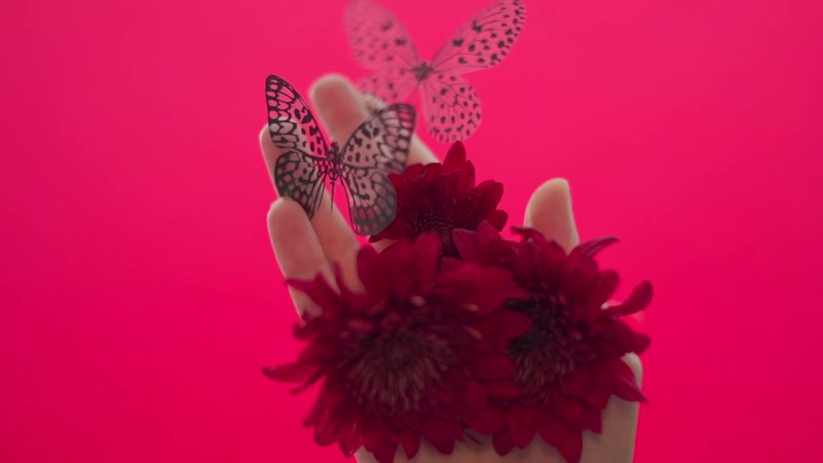 Hands holding red flowers with butterflies against a pink background