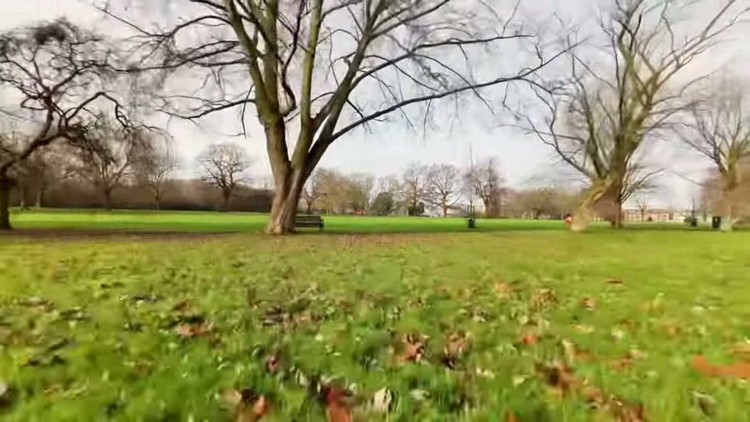 DJI Avata 2 first flight, low over the grass between bare winter trees
