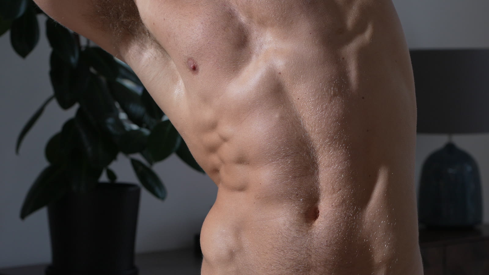 Model's torso in soft window light with a plant and lamp behind, DRT commercial