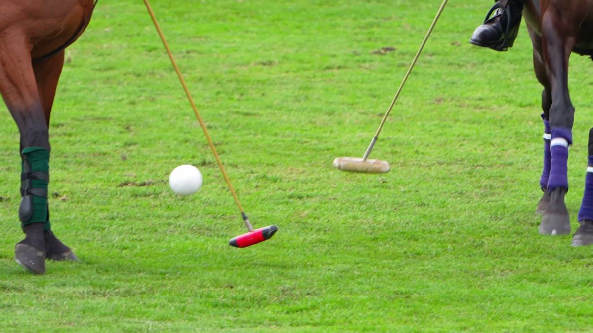 Close-up of a polo mallet striking the ball between horses' legs on the Hurlingham Park pitch